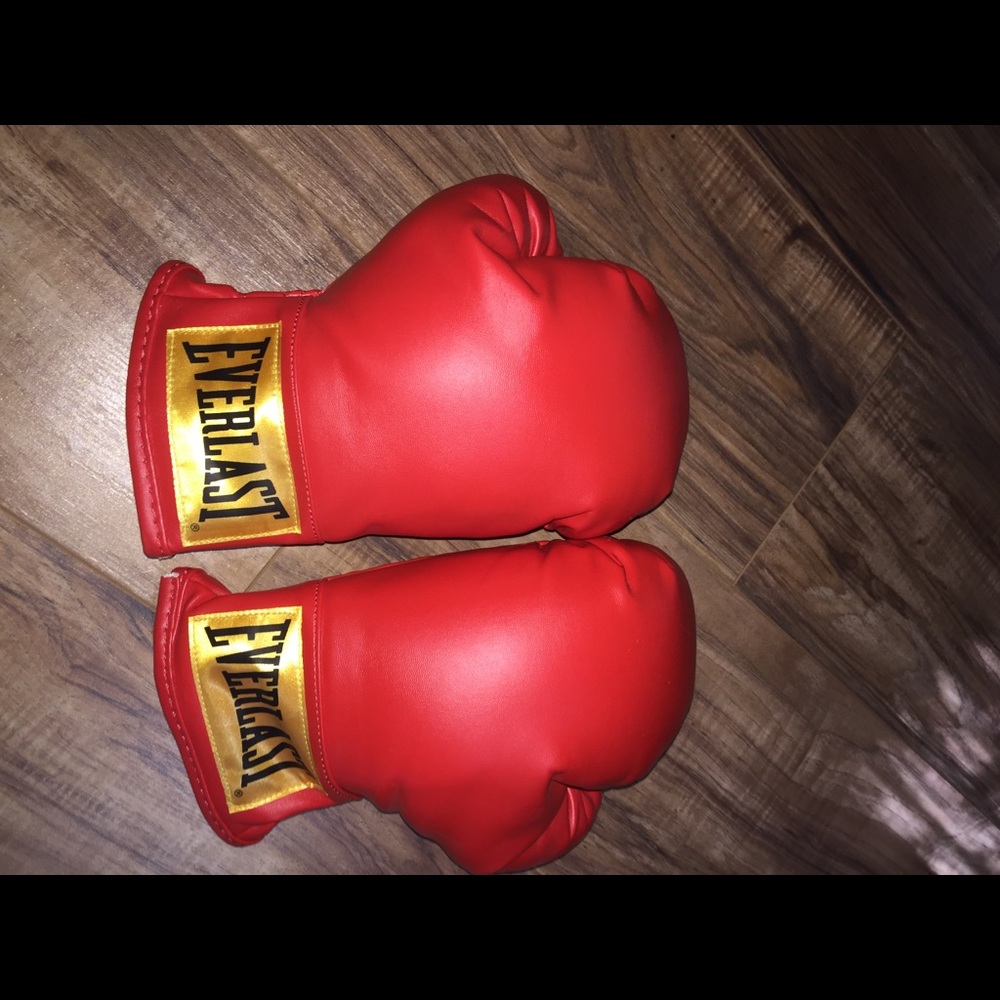 Everlast punching gloves